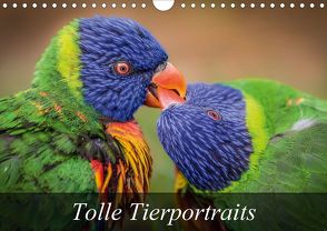 Tolle Tierportraits (Wandkalender 2020 DIN A4 quer) von van Hauten,  Markus