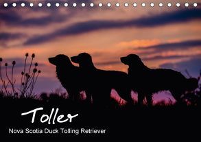 Toller – Nova Scotia Duck Tolling Retriever (Tischkalender 2018 DIN A5 quer) von Auerbach,  Anna