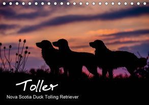 Toller – Nova Scotia Duck Tolling Retriever (Tischkalender 2019 DIN A5 quer) von Auerbach,  Anna