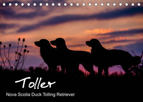 Toller – Nova Scotia Duck Tolling Retriever (Tischkalender 2022 DIN A5 quer) von Auerbach,  Anna