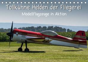 Tollkühne Helden der Fliegerei – Modellflugzeuge in Aktion (Tischkalender 2023 DIN A5 quer) von Teßen,  Sonja