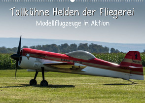 Tollkühne Helden der Fliegerei – Modellflugzeuge in Aktion (Wandkalender 2023 DIN A2 quer) von Teßen,  Sonja