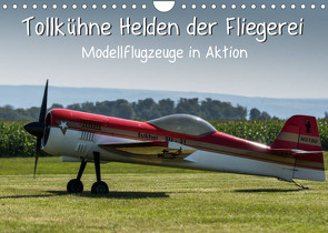 Tollkühne Helden der Fliegerei – Modellflugzeuge in Aktion (Wandkalender 2023 DIN A4 quer) von Teßen,  Sonja