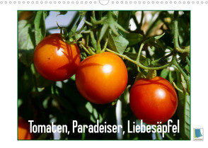 Tomaten, Paradeiser, Liebesäpfel (Wandkalender 2023 DIN A3 quer) von CALVENDO