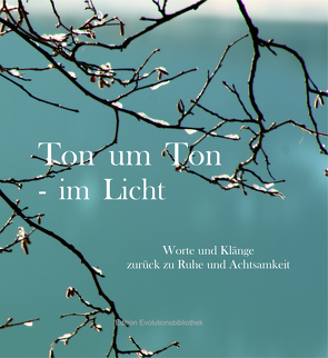 Ton um Ton – im Licht von Olivieri,  Karin