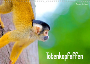 Totenkopfaffen (Wandkalender 2022 DIN A3 quer) von de Haan,  Tobias