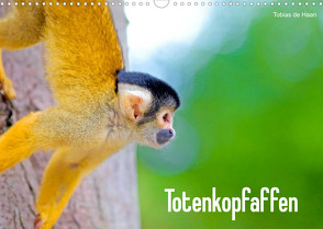 Totenkopfaffen (Wandkalender 2023 DIN A3 quer) von de Haan,  Tobias