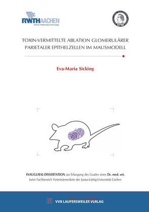 TOXIN-VERMITTELTE ABLATION GLOMERULÄRER PARIETALER EPITHELZELLEN IM MAUSMODELL von Sicking,  Eva-Maria