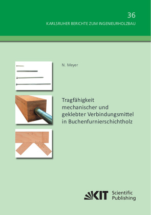 Tragfähigkeit mechanischer und geklebter Verbindungsmittel in Buchenfurnierschichtholz von Meyer,  Nico