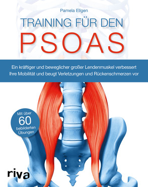 Training für den Psoas von Ellgen,  Pamela