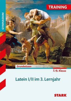 Training Gymnasium – Latein 3. Lernjahr von Metzger,  Gerhard