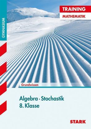 Training Gymnasium – Mathematik Algebra und Stochastik 8. Klasse von Fiederer,  Markus