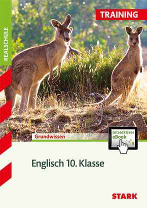 STARK Training Realschule – Englisch 10. Klasse von Jenkinson,  Paul