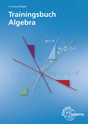 Trainingsbuch Algebra von Schwerdtfeger,  Eugen