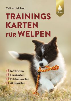 Trainingskarten für Welpen von Amo,  Celina del