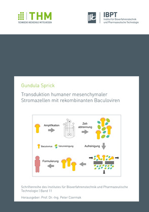 Transduktion humaner mesenchymaler Stromazellen mit rekombinanten Baculoviren von Sprick,  Gundula