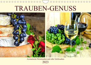 Trauben-Genuss. Aromatische Weintrauben und süße Tafeltrauben (Wandkalender 2023 DIN A4 quer) von Hurley,  Rose