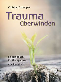 Trauma überwinden von Schopper,  Christian