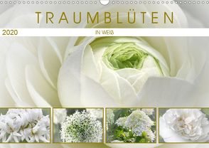 Traumblüten in Weiß (Wandkalender 2020 DIN A3 quer) von Cross,  Martina