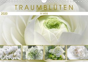 Traumblüten in Weiß (Wandkalender 2020 DIN A4 quer) von Cross,  Martina