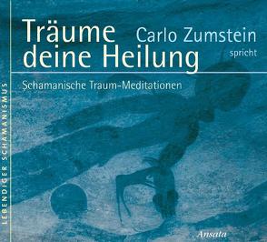 Träume deine Heilung von Zumstein,  Carlo