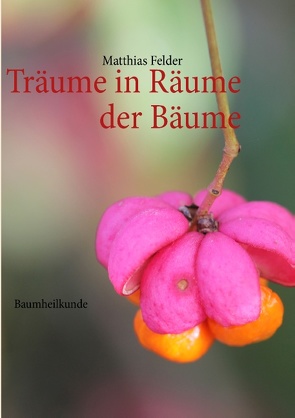 Träume in Räume der Bäume von Felder,  Matthias