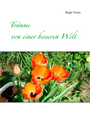 Träume von einer besseren Welt von Vireau,  Birgit