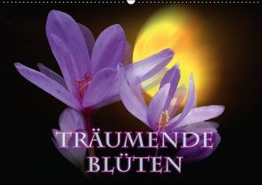 Träumende Blüten (Wandkalender immerwährend DIN A2 quer) von andromeday,  k.A.