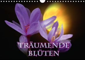 Träumende Blüten (Wandkalender immerwährend DIN A4 quer) von andromeday,  k.A.