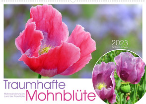 Traumhafte Mohnblüte (Wandkalender 2023 DIN A2 quer) von Löwer,  Sabine