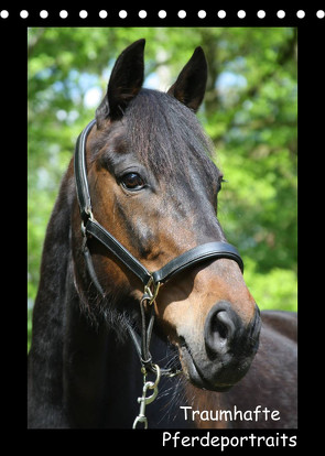 Traumhafte Pferdeportraits (Tischkalender 2023 DIN A5 hoch) von Daus,  Christine