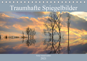 Traumhafte Spiegelbilder (Tischkalender 2021 DIN A5 quer) von Lutzenberger,  Monika