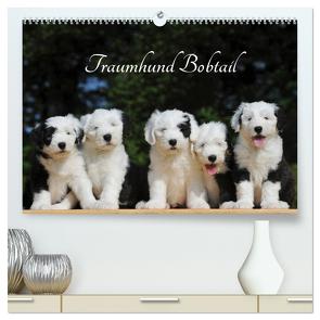 Traumhund Bobtail (hochwertiger Premium Wandkalender 2024 DIN A2 quer), Kunstdruck in Hochglanz von Starick,  Sigrid