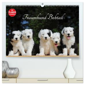 Traumhund Bobtail (hochwertiger Premium Wandkalender 2024 DIN A2 quer), Kunstdruck in Hochglanz von Starick,  Sigrid