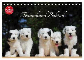 Traumhund Bobtail (Tischkalender 2024 DIN A5 quer), CALVENDO Monatskalender von Starick,  Sigrid