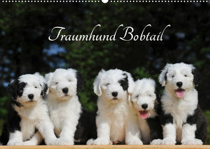 Traumhund Bobtail (Wandkalender 2023 DIN A2 quer) von Starick,  Sigrid