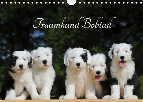 Traumhund Bobtail (Wandkalender 2023 DIN A4 quer) von Starick,  Sigrid