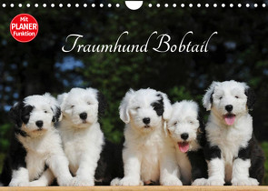 Traumhund Bobtail (Wandkalender 2023 DIN A4 quer) von Starick,  Sigrid