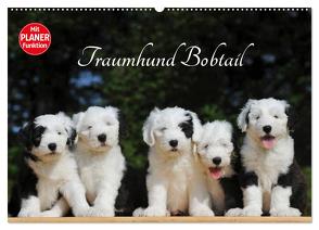 Traumhund Bobtail (Wandkalender 2024 DIN A2 quer), CALVENDO Monatskalender von Starick,  Sigrid