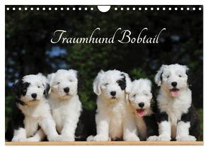 Traumhund Bobtail (Wandkalender 2024 DIN A4 quer), CALVENDO Monatskalender von Starick,  Sigrid