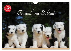 Traumhund Bobtail (Wandkalender 2024 DIN A4 quer), CALVENDO Monatskalender von Starick,  Sigrid