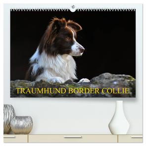 Traumhund Border Collie (hochwertiger Premium Wandkalender 2024 DIN A2 quer), Kunstdruck in Hochglanz von Starick,  Sigrid