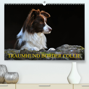 Traumhund Border Collie (Premium, hochwertiger DIN A2 Wandkalender 2023, Kunstdruck in Hochglanz) von Starick,  Sigrid