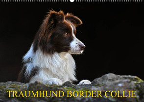 Traumhund Border Collie (Wandkalender 2023 DIN A2 quer) von Starick,  Sigrid