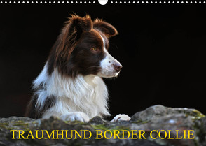 Traumhund Border Collie (Wandkalender 2023 DIN A3 quer) von Starick,  Sigrid