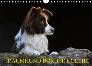 Traumhund Border Collie (Wandkalender 2023 DIN A4 quer) von Starick,  Sigrid
