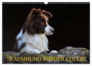 Traumhund Border Collie (Wandkalender 2024 DIN A3 quer), CALVENDO Monatskalender von Starick,  Sigrid