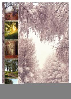 Traumpfade – Schöne Heimat Sachsen (Wandkalender 2024 DIN A4 hoch), CALVENDO Monatskalender von Drachenkind-Fotografie,  Drachenkind-Fotografie