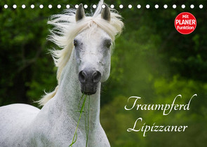 Traumpferd Lipizzaner (Tischkalender 2023 DIN A5 quer) von Starick,  Sigrid