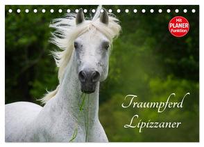 Traumpferd Lipizzaner (Tischkalender 2024 DIN A5 quer), CALVENDO Monatskalender von Starick,  Sigrid